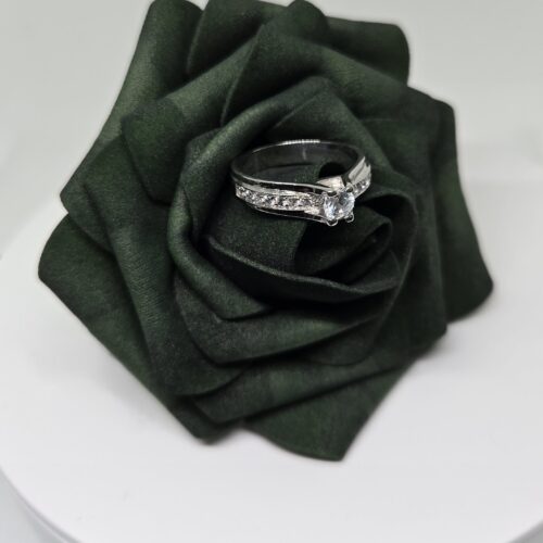 R0039